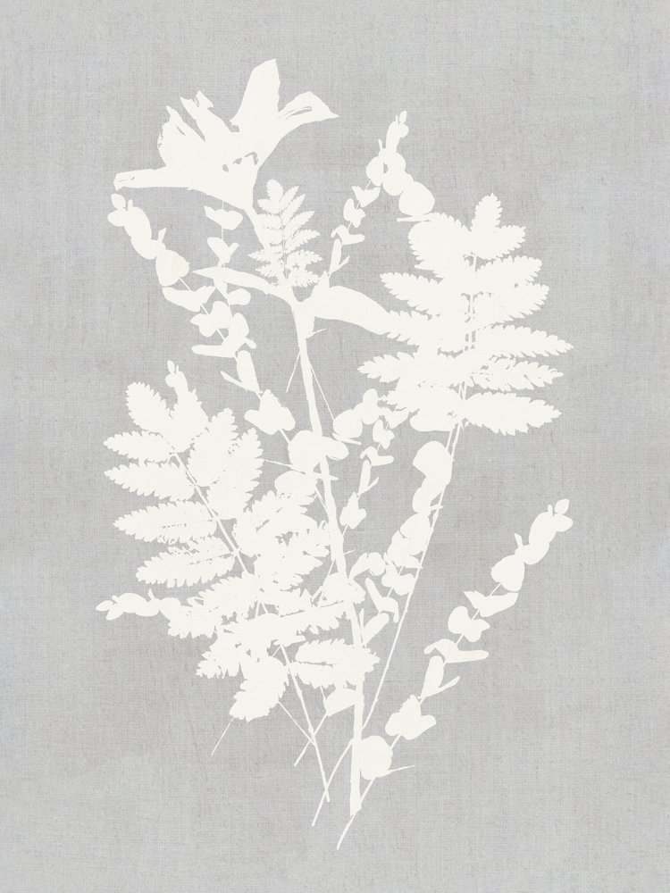 Studie botanické siluety od cartissi