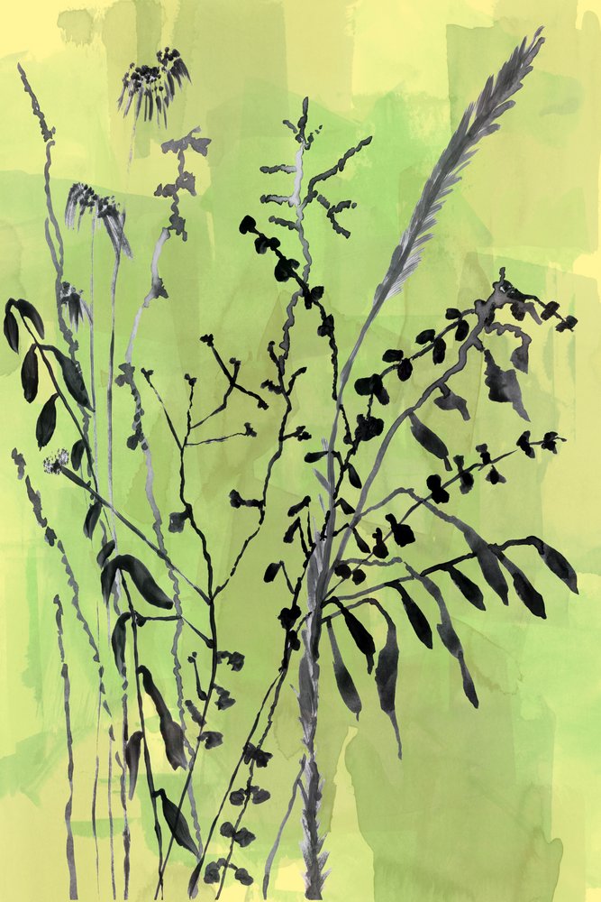 Zelené botanické siluety od cartissi