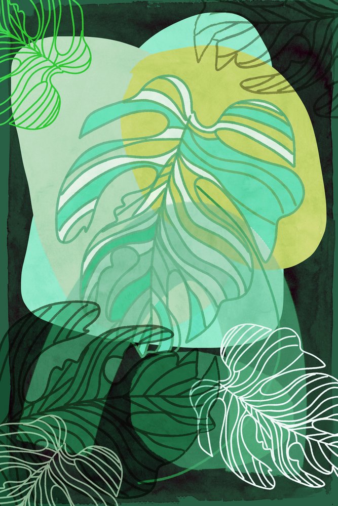 Zelená organická monstera od cartissi