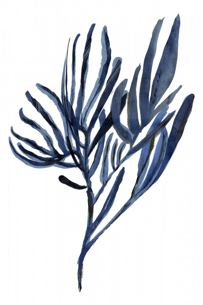 Indigo – botanické větve od cartissi