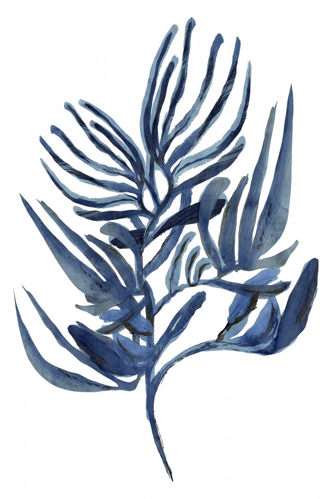 Botanická studie Indigo od cartissi