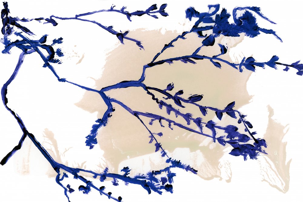 Indigo – jarní větvičky od cartissi