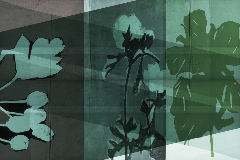Vrstvené botanické stíny od cartissi