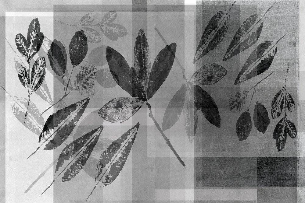 Černobílé botanické vrstvy od cartissi