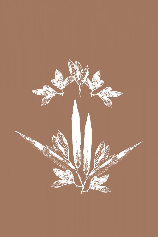 Stylizované botanické listy od cartissi