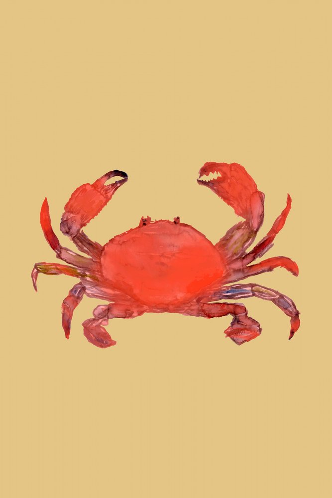Zářivě červený krab od cartissi
