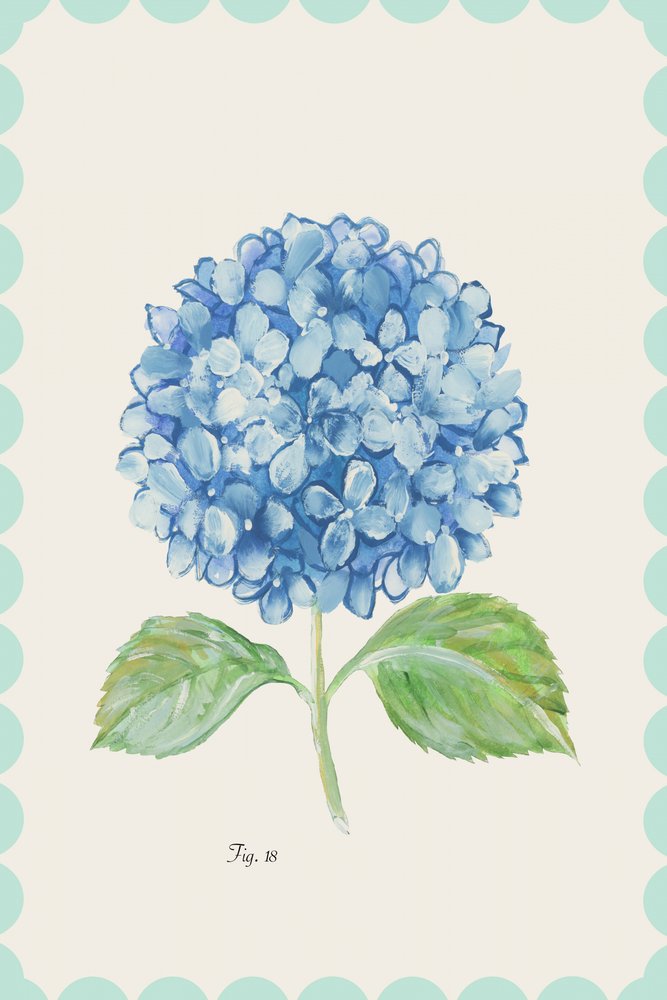 Květ hortenzie v barvě vintage blue od cartissi