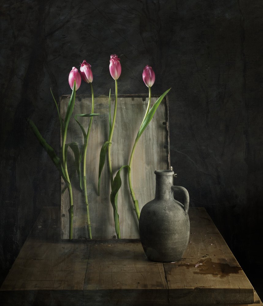  od chenyi wang