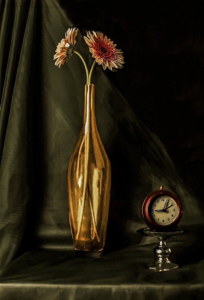 Zlatá gerbera – zátiší od jlloydphoto