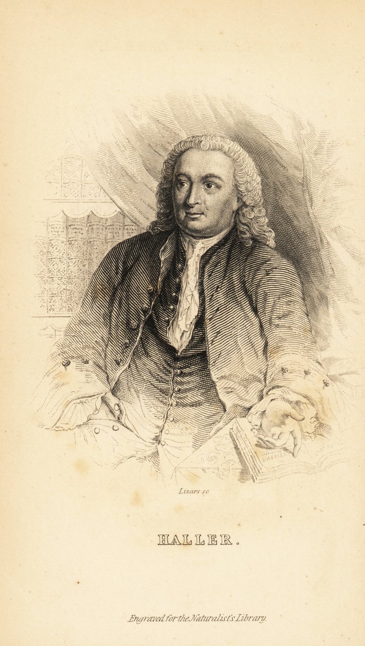 Albrecht von Haller , švýcarský anatom, přírodovědec a básník, 1708-1777 od Unknown