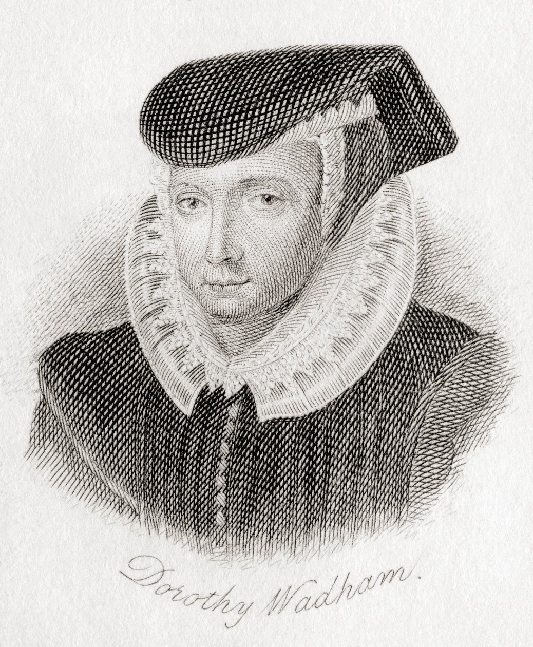 Dorothy Wadham, rozená Petre, k. 15341535 ? 1618. od Unknown