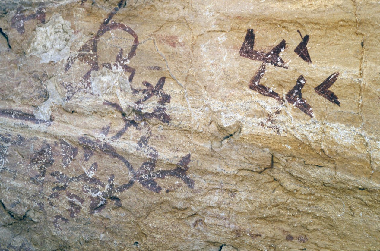 Jeskyně Los Letreros, poblíž Velez Blanco, Andalucia, 4000 př.nl, jeskynní malby ptáků od Unknown