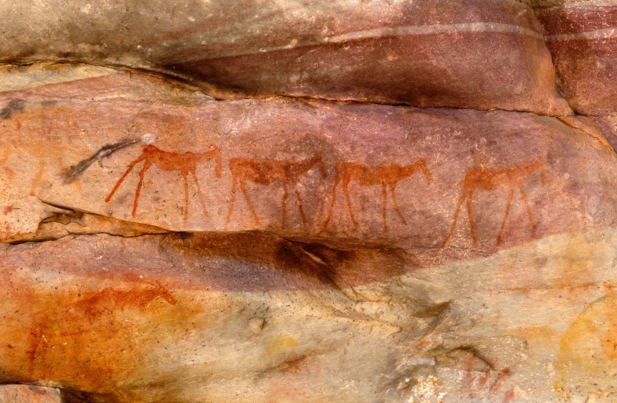 Skalní malby San (Bushmen), Cedarburg, Western Cape od Unknown