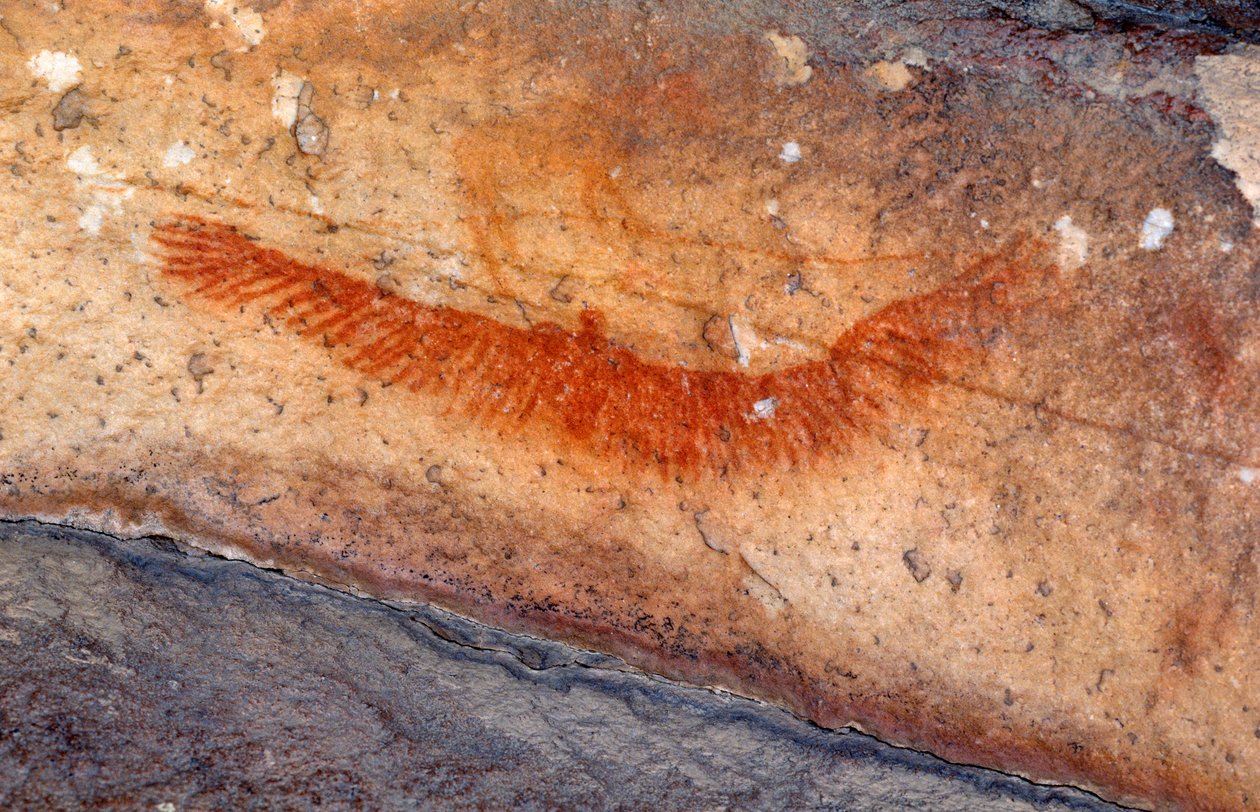 Skalní malby San (Bushmen), Cedarburg, Western Cape od Unknown