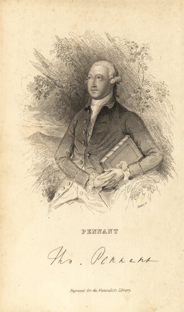 Thomas Pennant, velšský přírodovědec, spisovatel a antikvář, 1726-1798 od Unknown