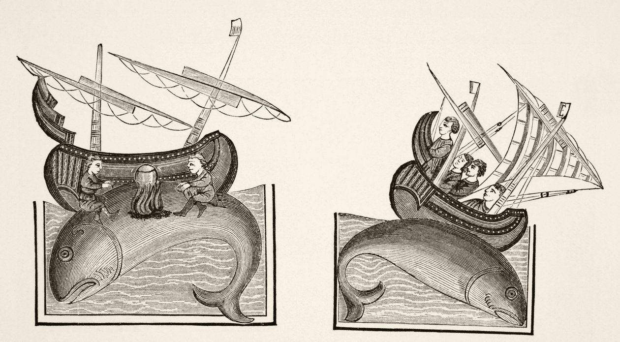 Navigátoři zaměňují hřbet velryby za ostrov podle miniatury v „Bestiarire d