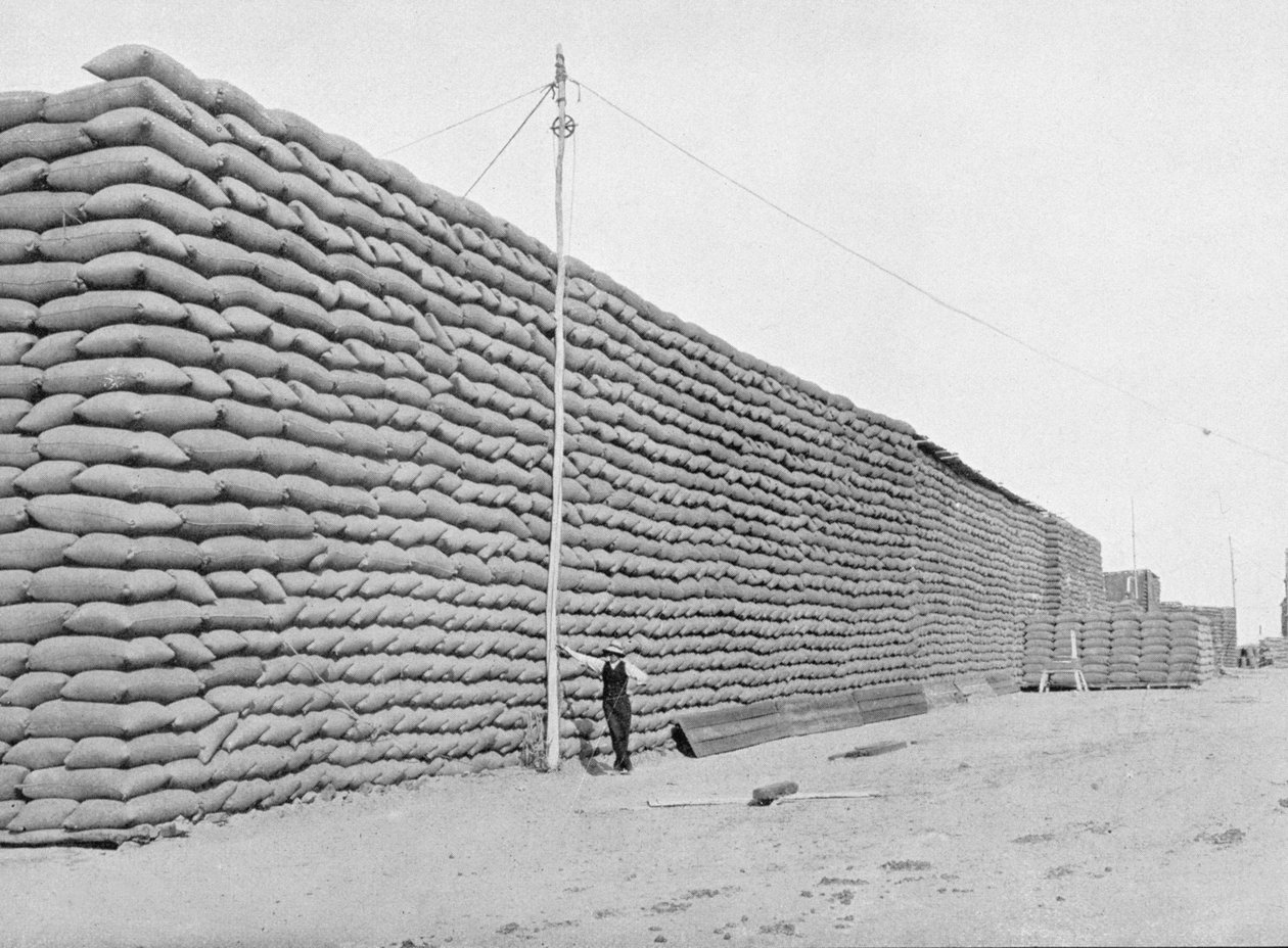 125 000 pytlů pšenice čekající na zásilku, Jižní Austrálie, cca 1900, z „Under the Southern Cross - Glimpses of Australia“, vydaného Ministerstvem zahraničních věcí, Melbourne, 1908 (černobílá fotografie) od Australian Photographer