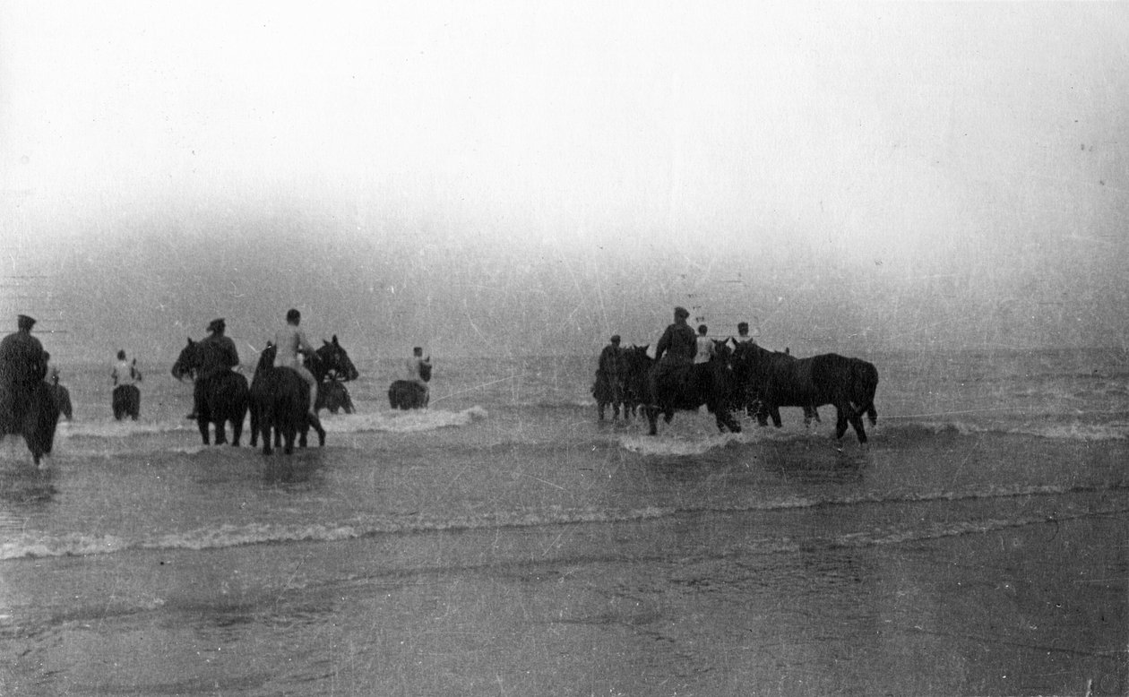 Vojáci vezoucí své koně na koupání u pobřeží Normandie, srpen 1916 od English Photographer