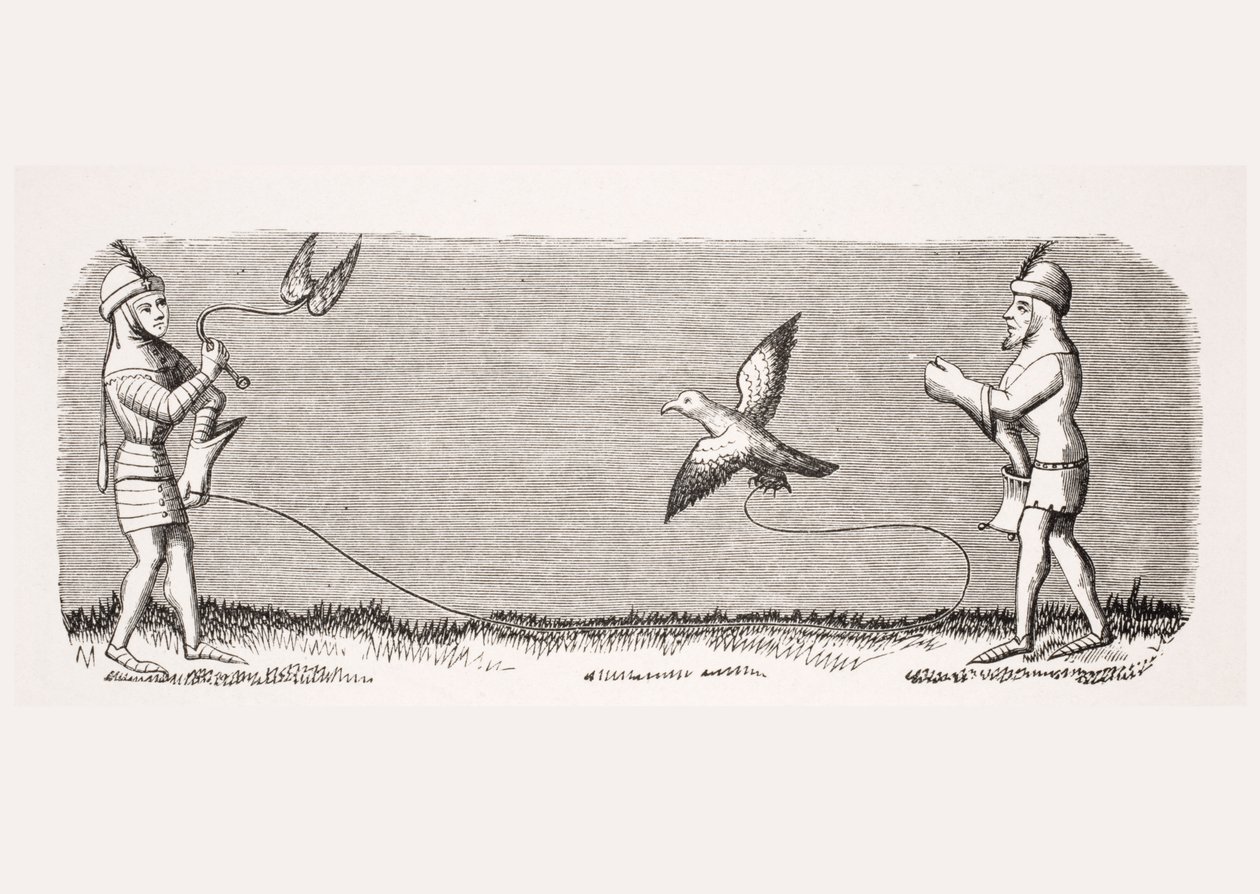 Jak vycvičit nového sokola, reprodukce miniatury v rukopise ze 14. století „Livre de Roy du Modus“ od Henriho de Ferrierese, z „Le Moyen Age et La Renaissance“ od Paula Lacroixe (1806-84) hospoda od French School