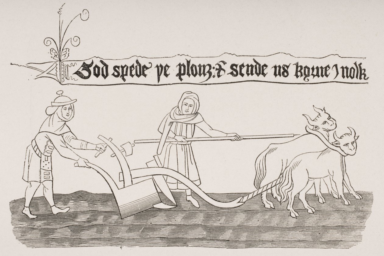 Muž a žena orají pole podle miniatury z anglosaského rukopisu z „Le Moyen Age et La Renaissance“ od Paula Lacroixe (1806–84) vydaného v roce 1847 od French School