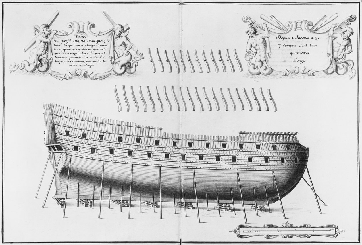 Profil plavidla, ilustrace z „Atlas de Colbert“, deska 26 (tužka a wc na papíře) (černobílá fotografie) od French School