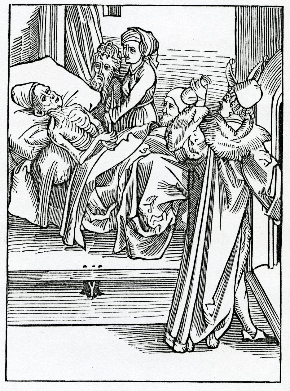 O folysshe Fesycyans a unlerned, že jeden z těchto paractyke nezná nic o spekulacích jejich fakulty, ilustrace z anglického překladu Alexandra Barclaye 