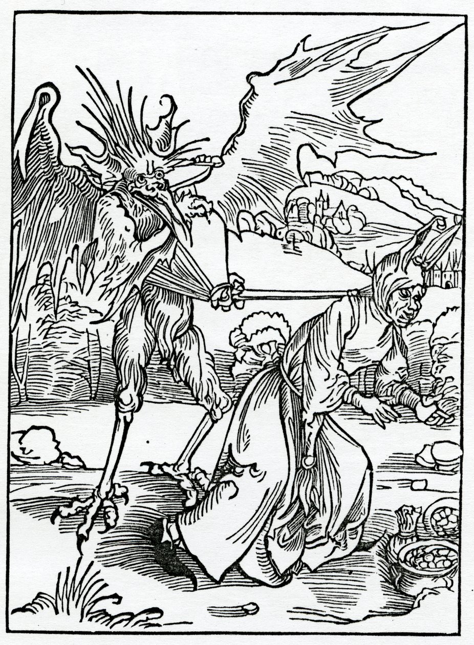 Hym, který by měl být přeměněn na majitele, ilustrace z anglického překladu Alexandra Barclaye „The Ship of Fools“ z vydání vydaného v roce 1874 (engravi od German School