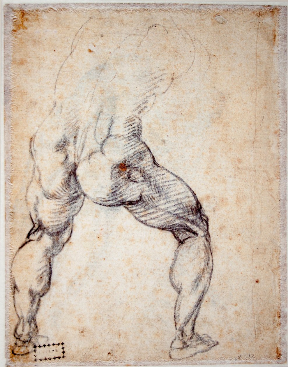 Muži zezadu od Michelangelo Buonarroti