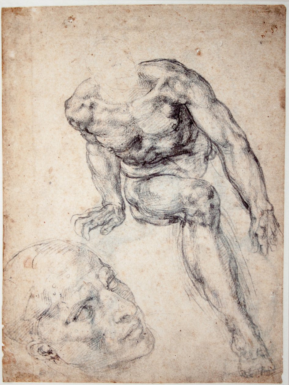 Studie mužského aktu, samostatná studie jeho hlavy od Michelangelo Buonarroti