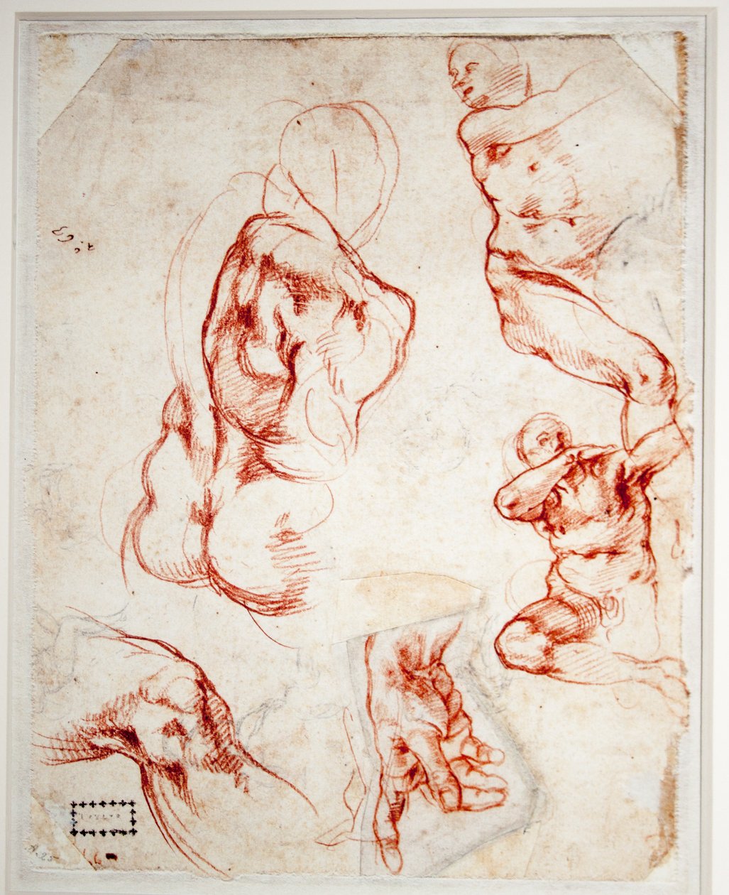 Studium pro Boží ruku (Stvoření Adama) od Michelangelo Buonarroti