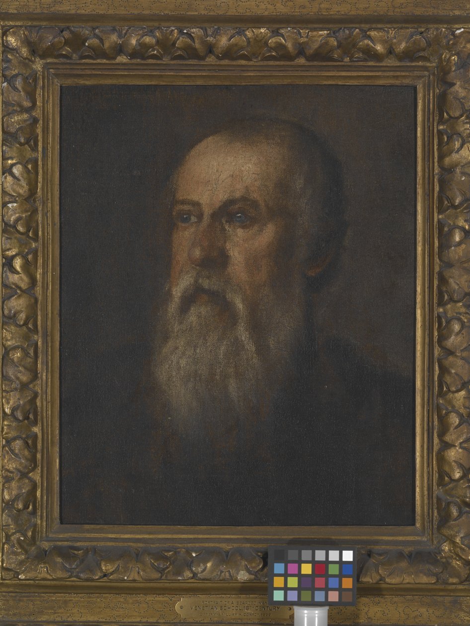 Portrét vousatého muže (olej na plátně připevněném k desce) od (1528 88) Veronese