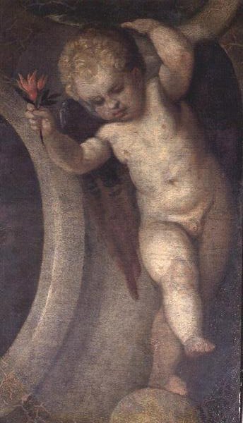 Putto s červeným květem (viz také 67073) od Veronese