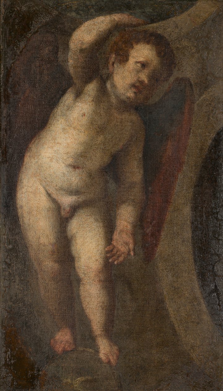 A Standing Putto, cca 1548-88 (olej na plátně) od Veronese