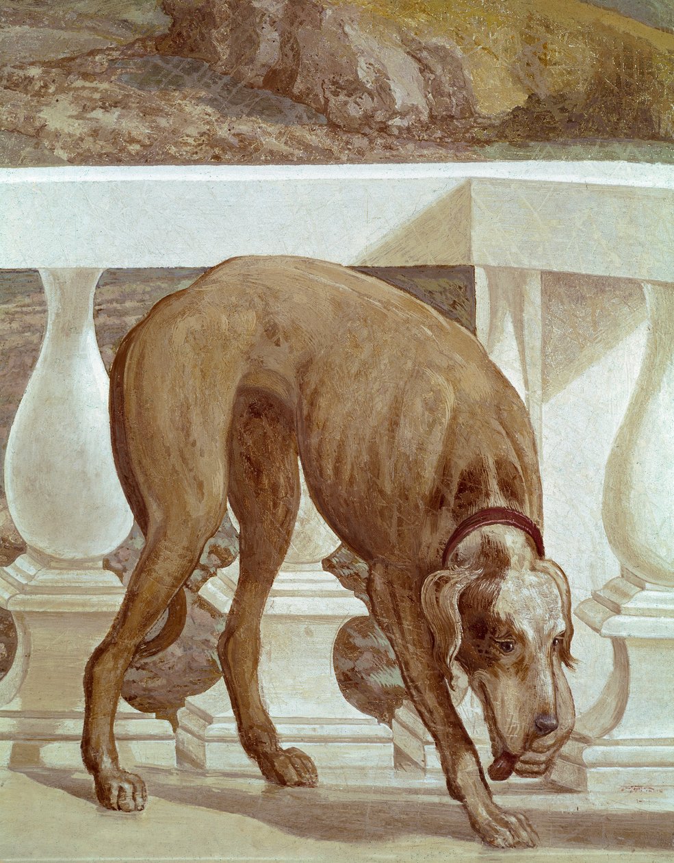 Pes na balkóně. Svěží detail. Obraz Paola Caliariho zvaný Paolo Veronese (1528-1588), cca 1561. Fresco Maser (Treviso), Villa Barbaro, Bakchův pokoj od Veronese