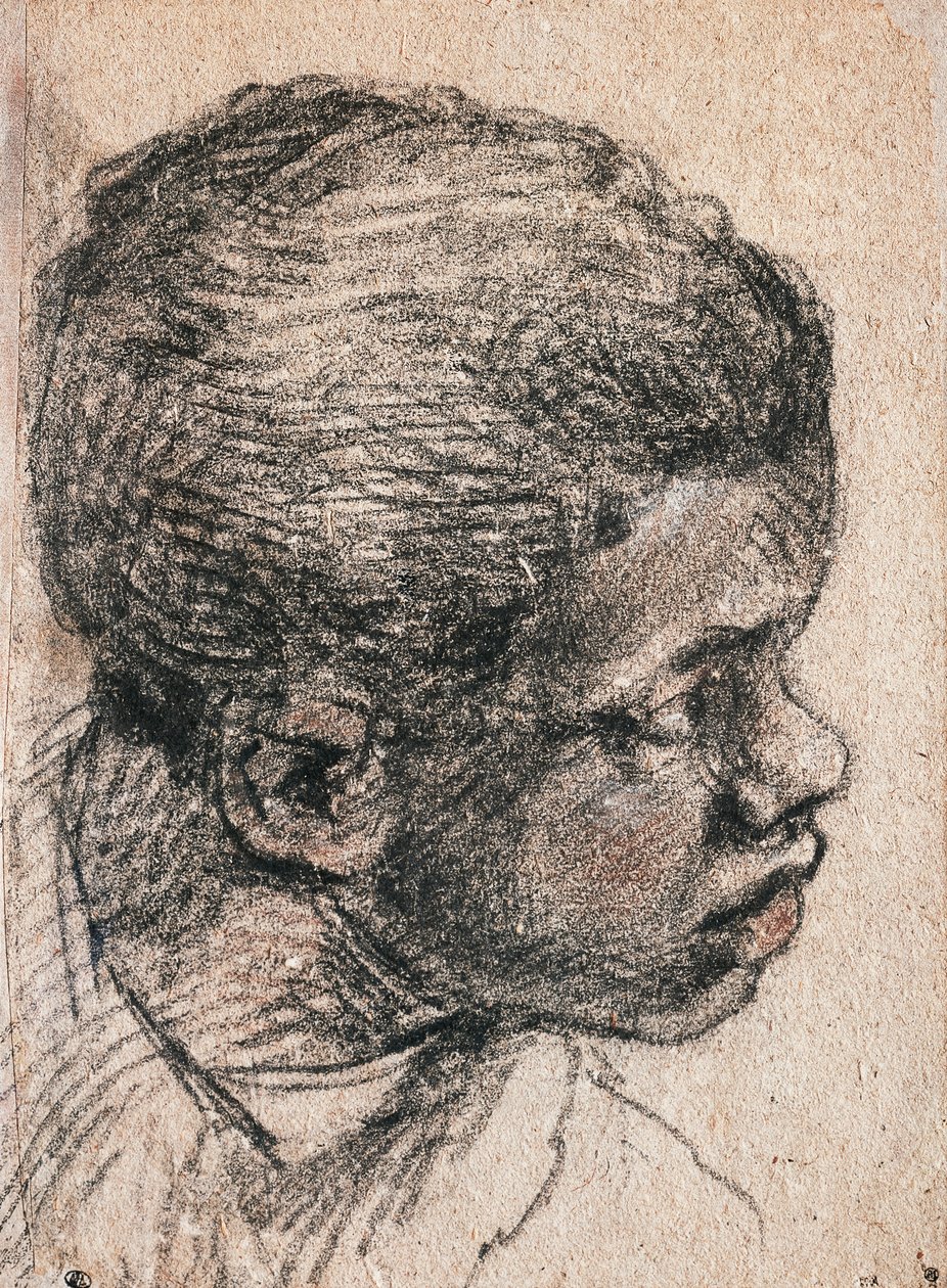 Hlava černošského chlapce, Paolo Caliari známý jako Veronese (1528-1588), kresba od Veronese