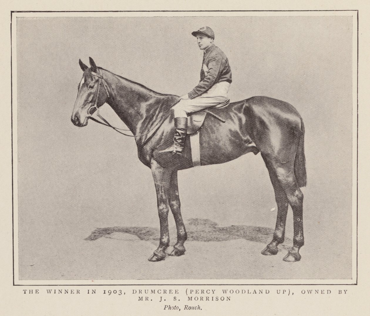 Drumcree, vítěz dostihu Grand National z roku 1903 (čb fotografie) od (after) English photographer