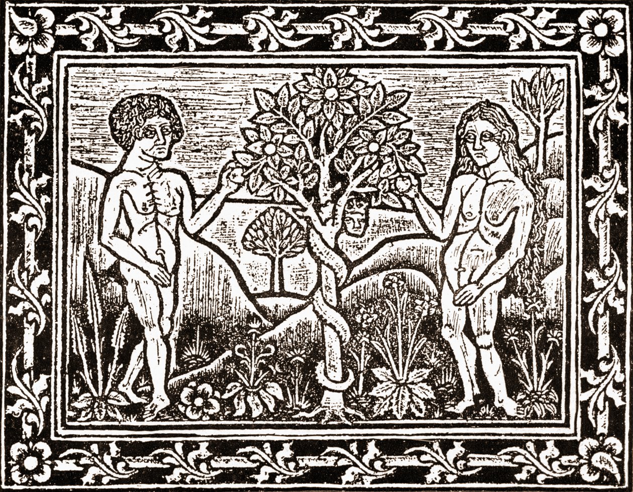 Strom, ze kterého Adam snědl jablko, faksimilie z knihy meditace, první kniha vytištěná v Albi, Languedoc, v roce 1481 od (after) French School