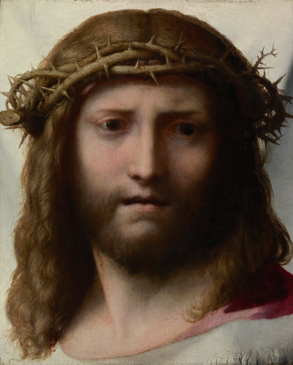Hlava Krista, cca 1530 (olej na desce) od (c.1489 1534) Correggio