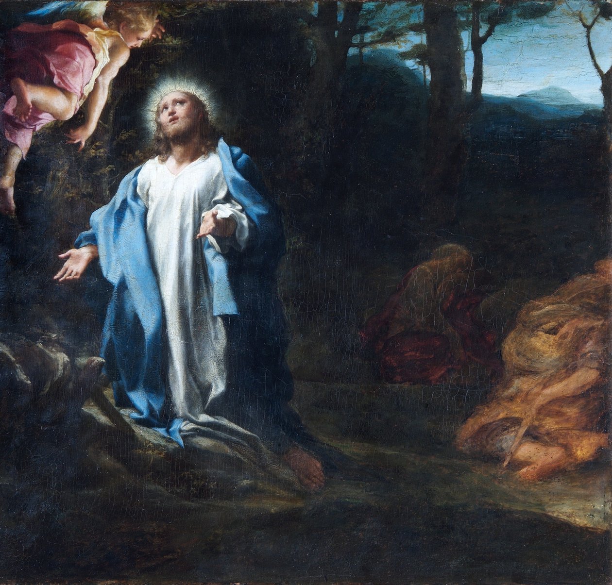 Agónie v zahradě, polovina 20. let 16. století (olej na panelu) od (c.1489 1534) Correggio