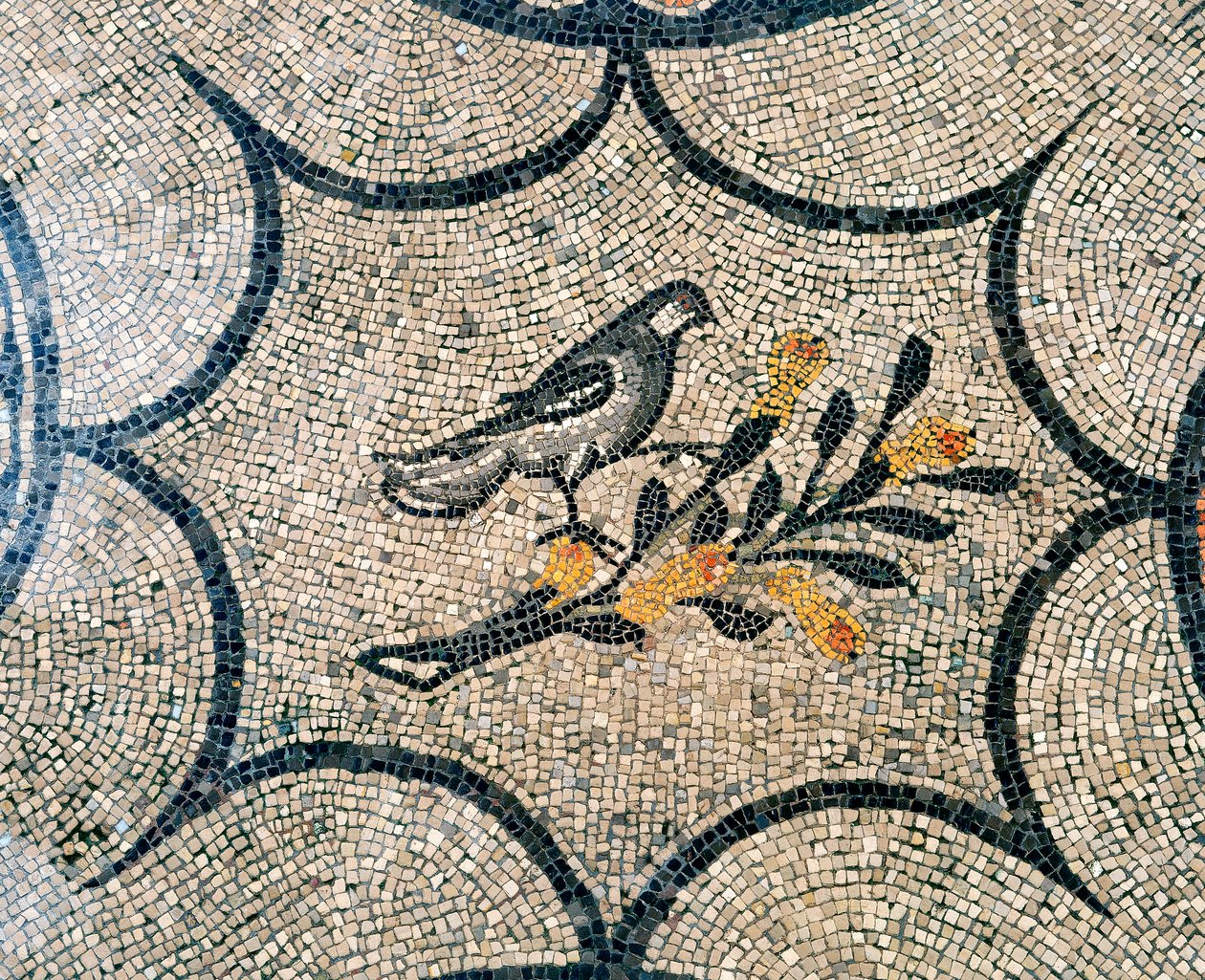 Detail podlahy raně křesťanské baziliky Aquileia, Udine od Unknown