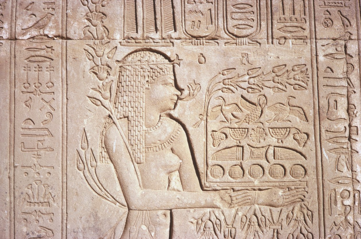 Egypt, Dendara, složité nástěnné řezby na východní stěně chrámu Hathor. od Unknown