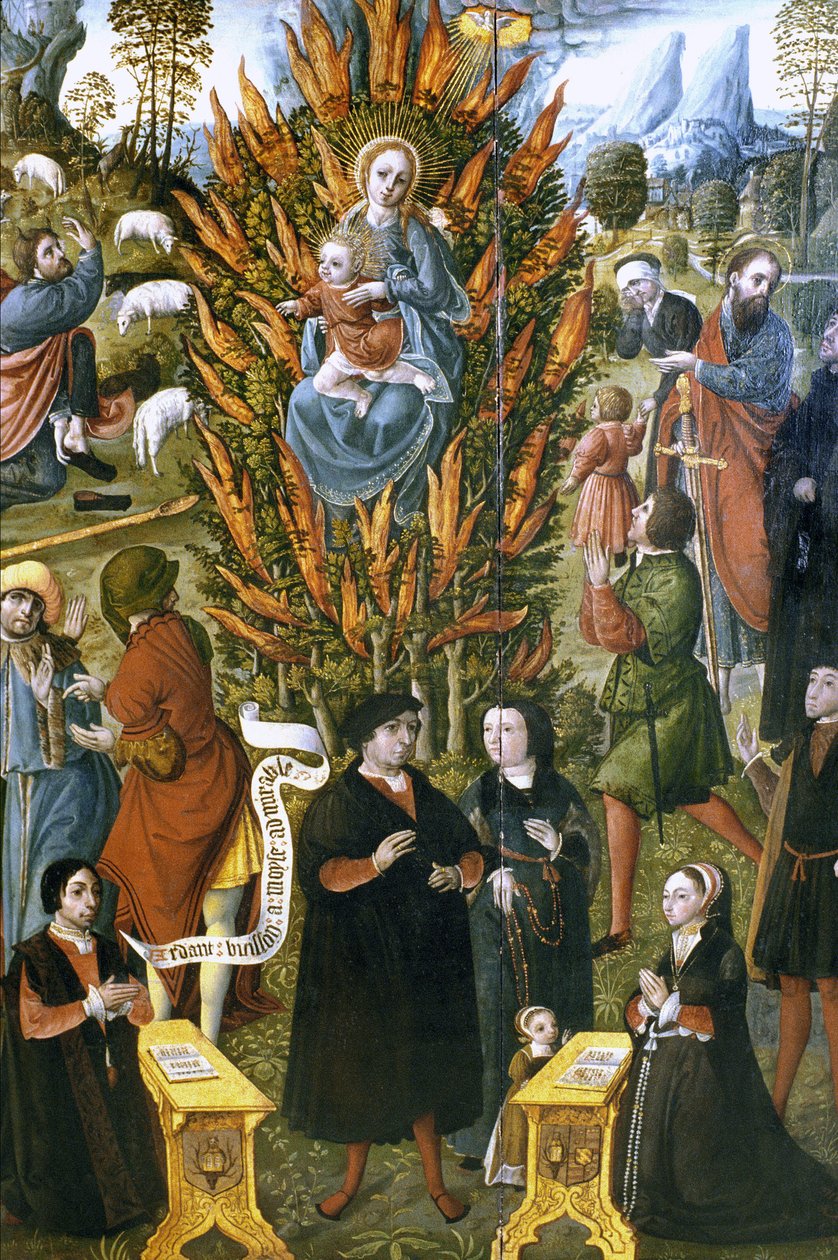 Francie - Somme - departement 80 - Abbeville - DR Musee Boucher de Perthes - Panna Maria s hořícím keřem, na objednávku Jean de Cermoise v letech 1526 až 1531. Olej na dřevě od Unknown