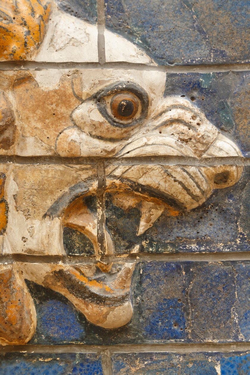 Istanbul, Turecko. Archeologické muzeum. Lev z glazovaných cihel v reliéfu z procesní ulice, Babylon, pocházející z období Nabuchodonozora II., přibližně 604–562 před naším letopočtem. od Unknown