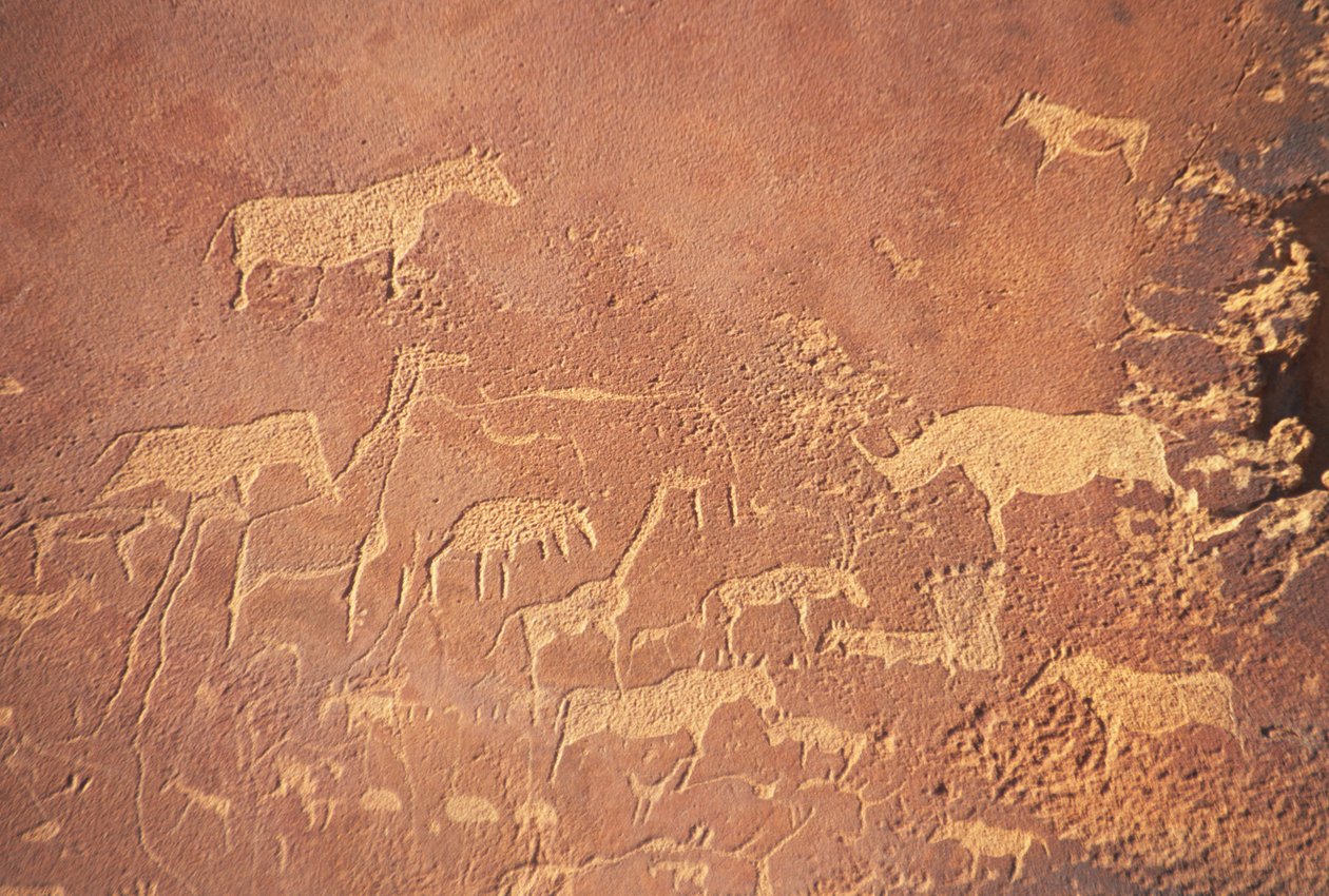 Twyfelfontein, jižně od Khorixasu, má jednu z nejrozsáhlejších akumulací prehistorických skalních maleb v Namibii namalovaných lidmi Damara před 5-6 000 lety. Převážně zobrazený je lev od Unknown