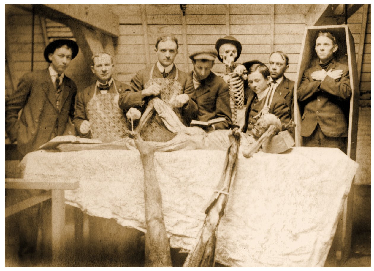 Studenti viktoriánské medicíny s mrtvolami, c.1890 od Unknown