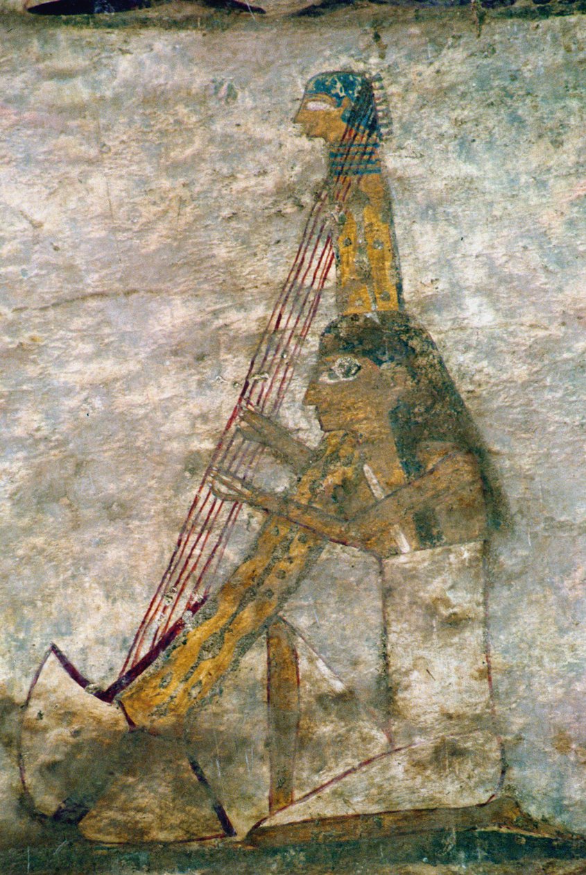 Žena hrající na obloukovou harfu, detail z nástěnné malby hrobky, egyptská, stará až střední říše (malovaný vápenec) od Unknown