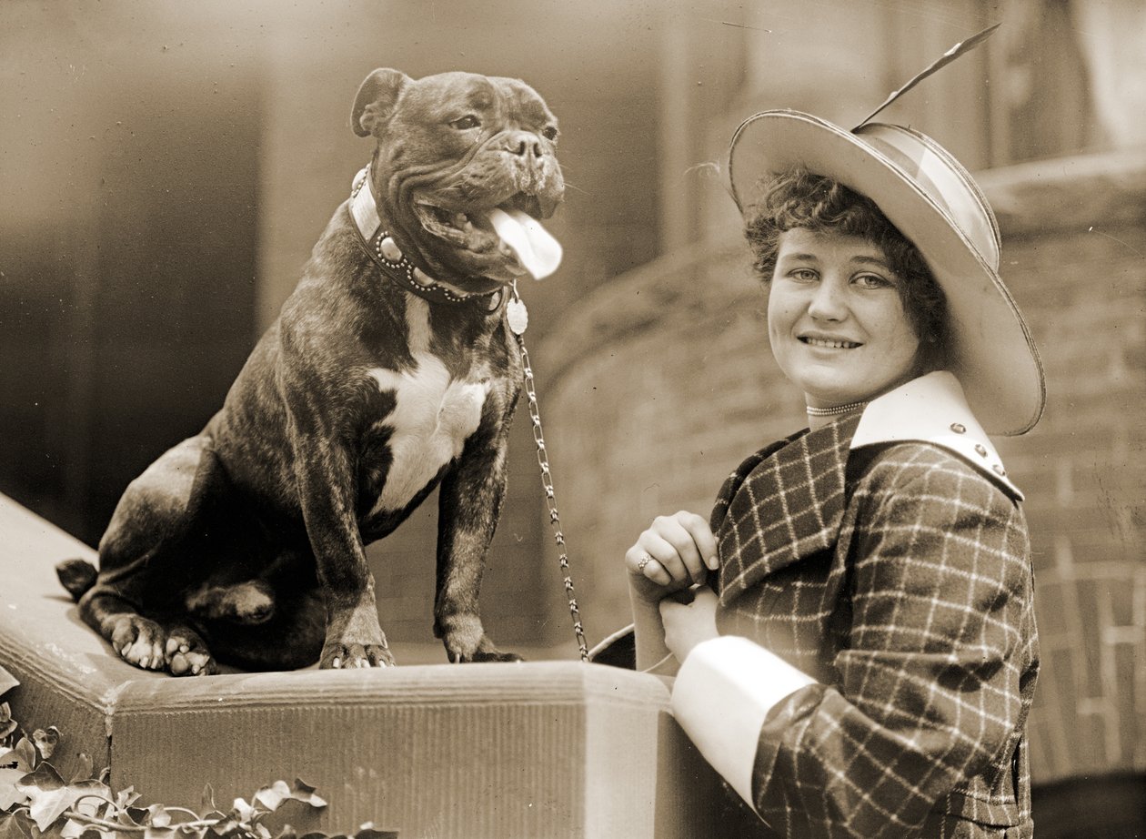 Mladá dívka a její bulteriér kolem roku 1915 od Unknown