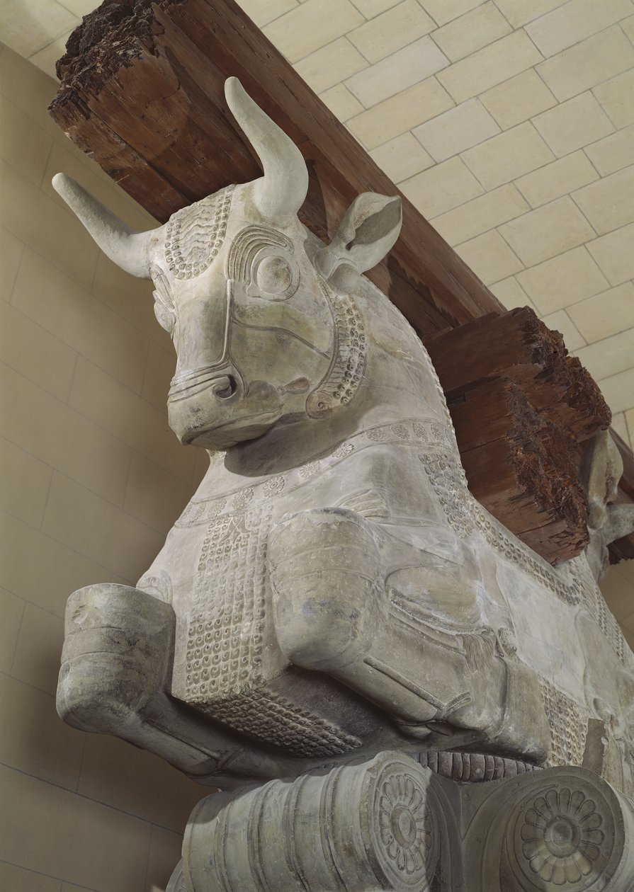 Hlavní město perského stylu ze sloupu Apadana, z paláce Dareia Velikého v Susa, Írán, cca 500 př.nl (vápenec) od Achaemenid