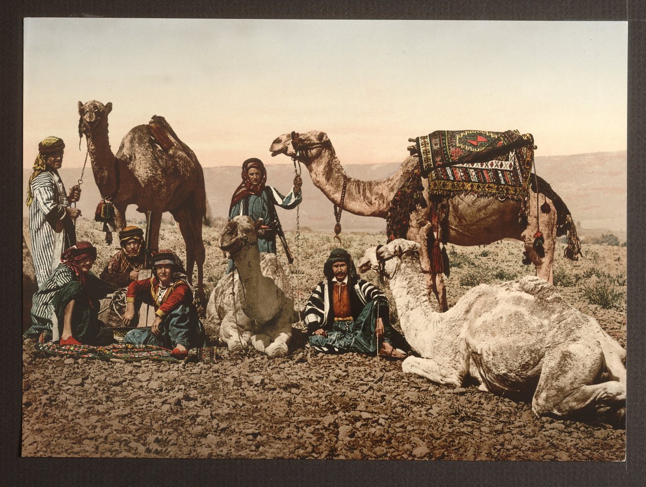 Camel Train v poušti na odpočinku, hospoda. 1895 od American Photographer