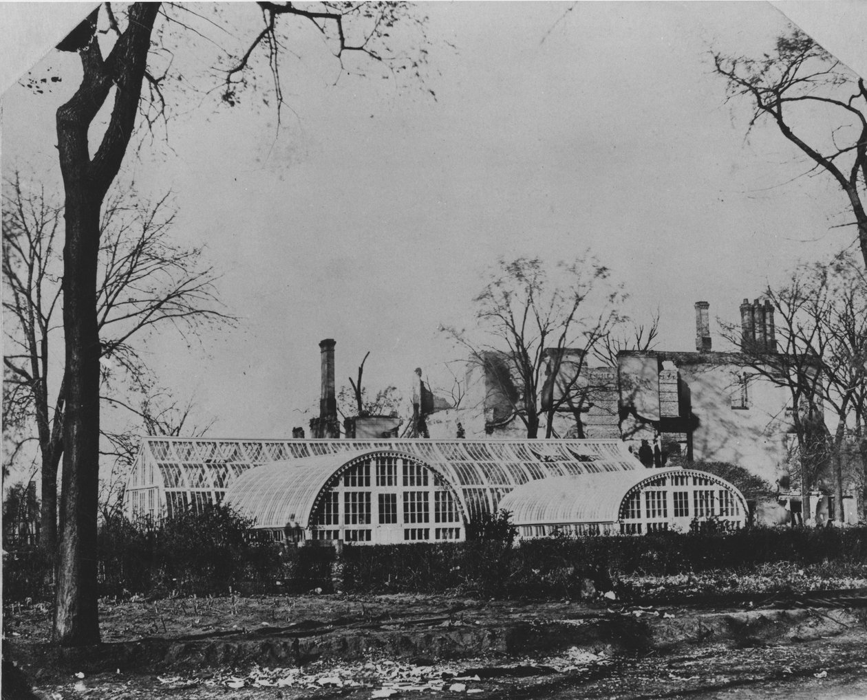 Rezidence a konzervatoř Ezry B. McCaggse po požáru v Chicagu v roce 1871, 1871 od American Photographer
